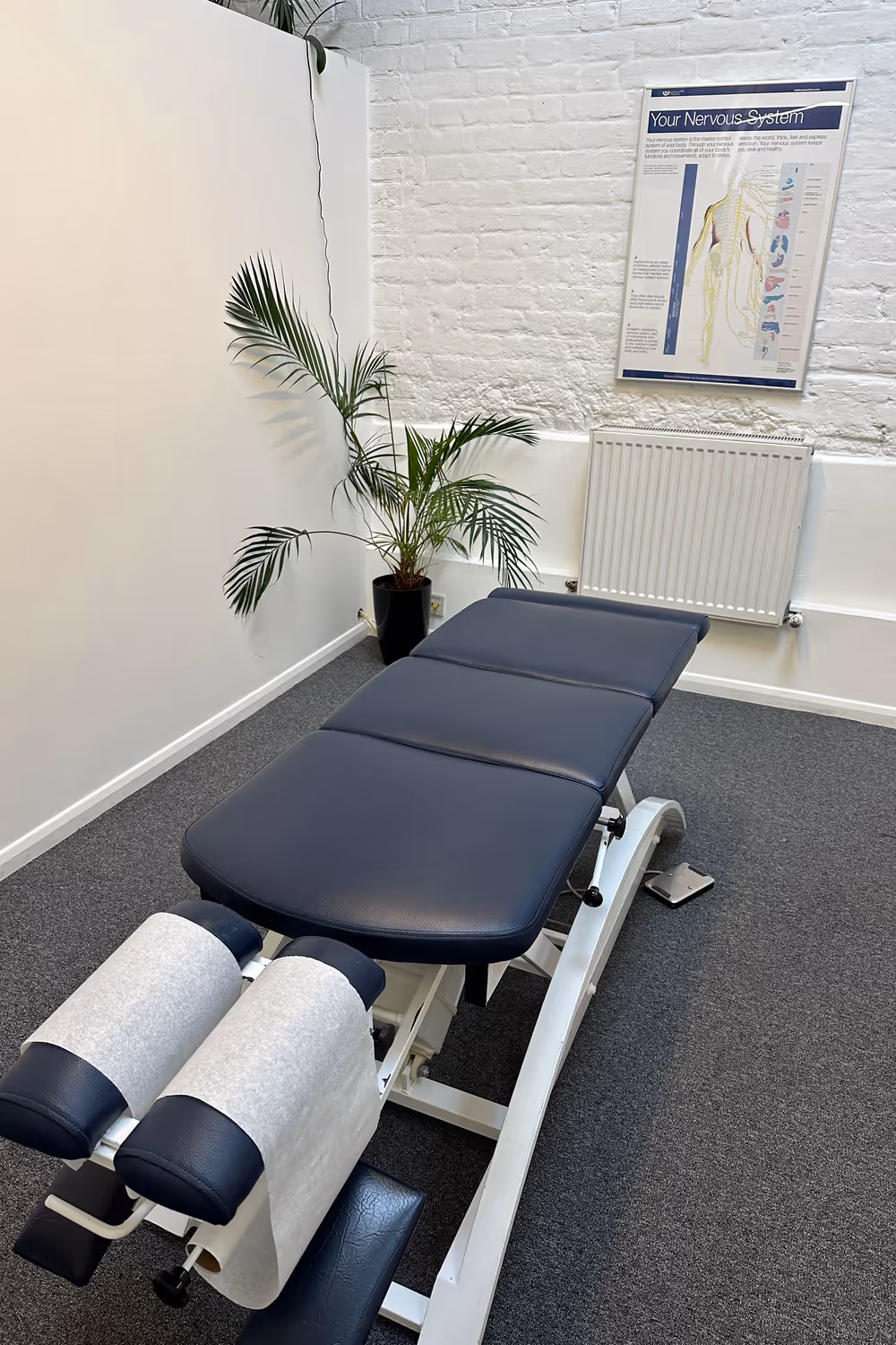 Treatment bench and plant in a clinic room