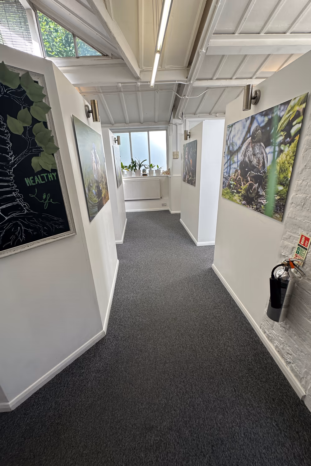 Corridor at a Chiro London clinic